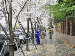 -永乐路-路侧停车场