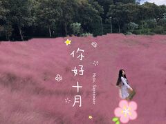 -牛岗山公园