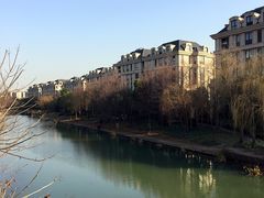 -新江湾城公园