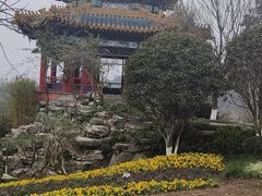 -重庆园博园