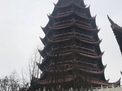 -铁山坪森林公园