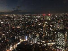 -东京都厅舍
