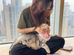 -Catmate·猫肥家润(金润铂宫店)
