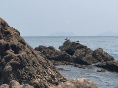-棒棰岛宾馆景区