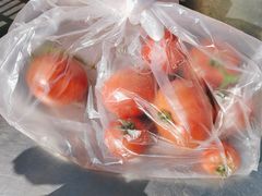 -大自然农场蔬菜草莓采摘园