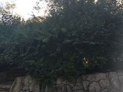 -建国公园