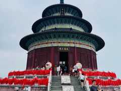 -黄贤森林公园