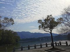 -天下玉苑