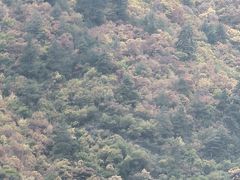 -九寨沟天源豪生度假酒店-豪庭轩中餐厅