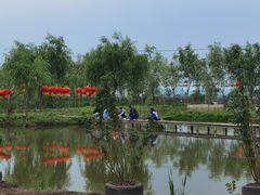 -同銮特种养殖场·龙虾垂钓