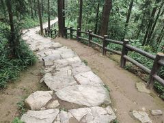 -冶父山国家森林公园