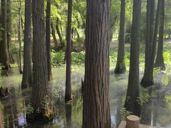 -东湖落雁景区