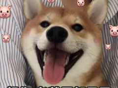 -正飞鲜奶(南湖一期店)