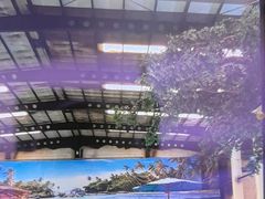 -南宫温泉水世界