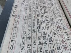 -蔡伦竹海