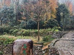 -仙霞关景区