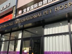 -宠爱国际动物医院· 猫科· 外科·中兽医(长白店)