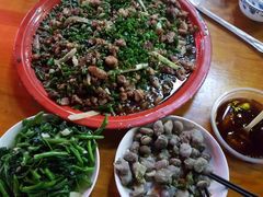 -东吴霸王兔(松青路店)