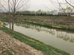 -洨河生态公园
