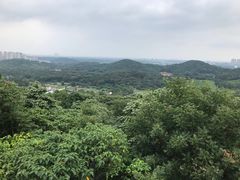 -南山风景名胜区