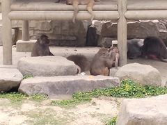 -上方山森林动物世界