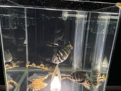 -邯郸海洋世界