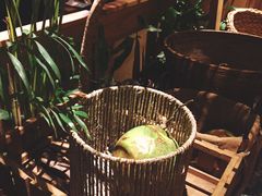 -大头椰·椰子鸡火锅(南宁万象城店)