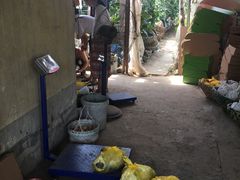 -马陆小张葡萄园农家乐