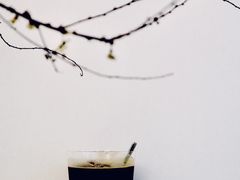 美式咖啡-Onirii Coffee(长乐路店)