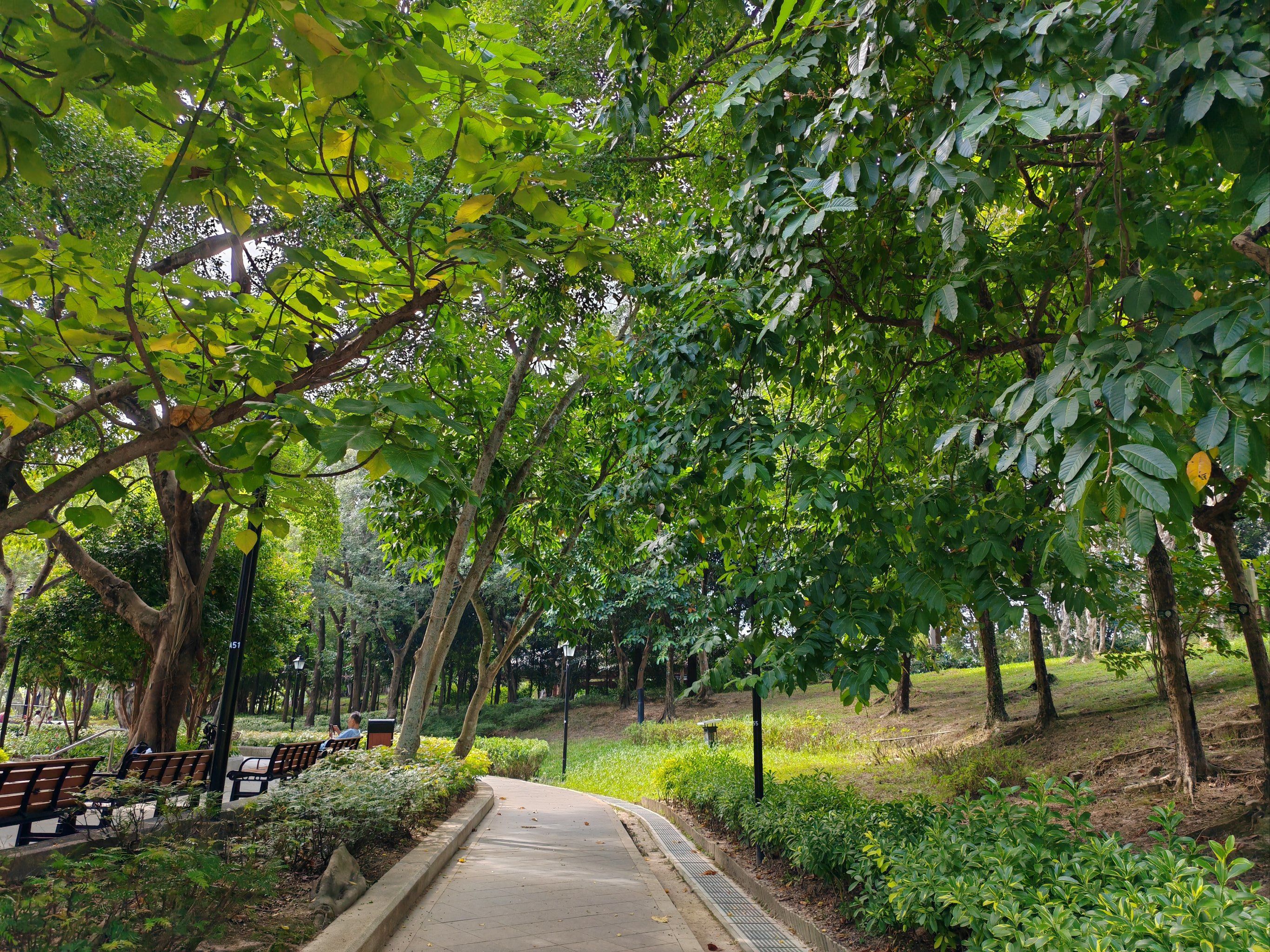 0元玩转这座城秋日下的香港北区公园