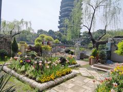 -红梅公园