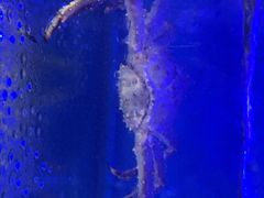 -佳兴饭店(荣川路店)