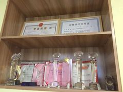 -派联宠物医院·24h·CT·异宠