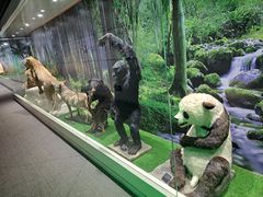 -宝岩生态观光园