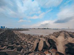 -上海滨江森林公园