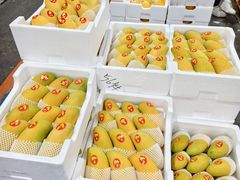 -西郊国际农产品交易中心