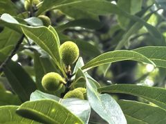 -宁波市保国寺古建筑博物馆