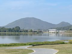 -风云岭森林公园