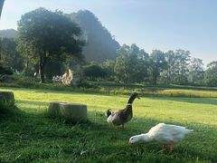 -Club Med地中海俱乐部·桂林度假村