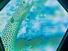 -海合安武汉极地海洋公园