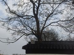 -梁鸿国家湿地公园