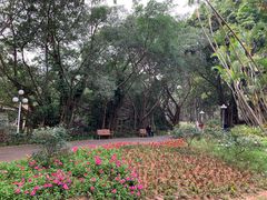 -人民公园(罗湖区)