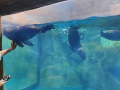 -洛阳龙门海洋馆