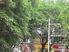 -淼福猪肚鸡·椰子鸡火锅(大沙地店)