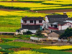 -婺源风景区