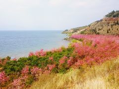 -湖景渔湾