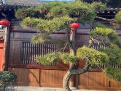 -广富林郊野公园