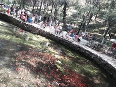 -水磨沟公园