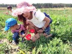 -北纬44度·金珠花海休闲农业旅游景区