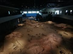 -自贡恐龙博物馆